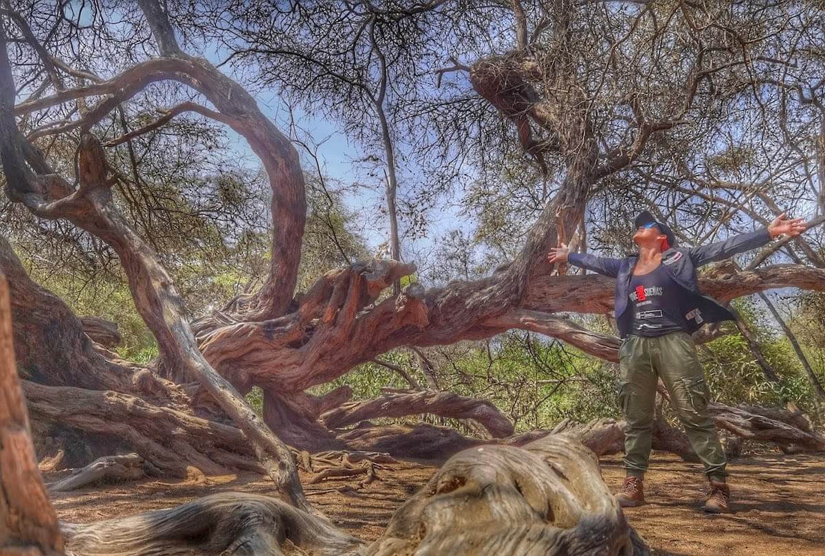 áreas naturales protegidas del perú