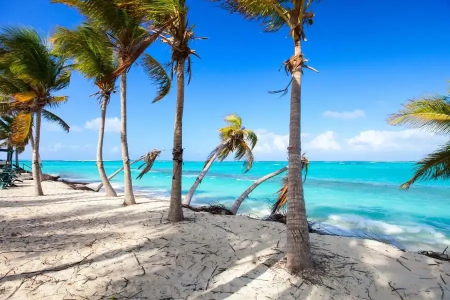 Playa Anguilla Culinary Experience