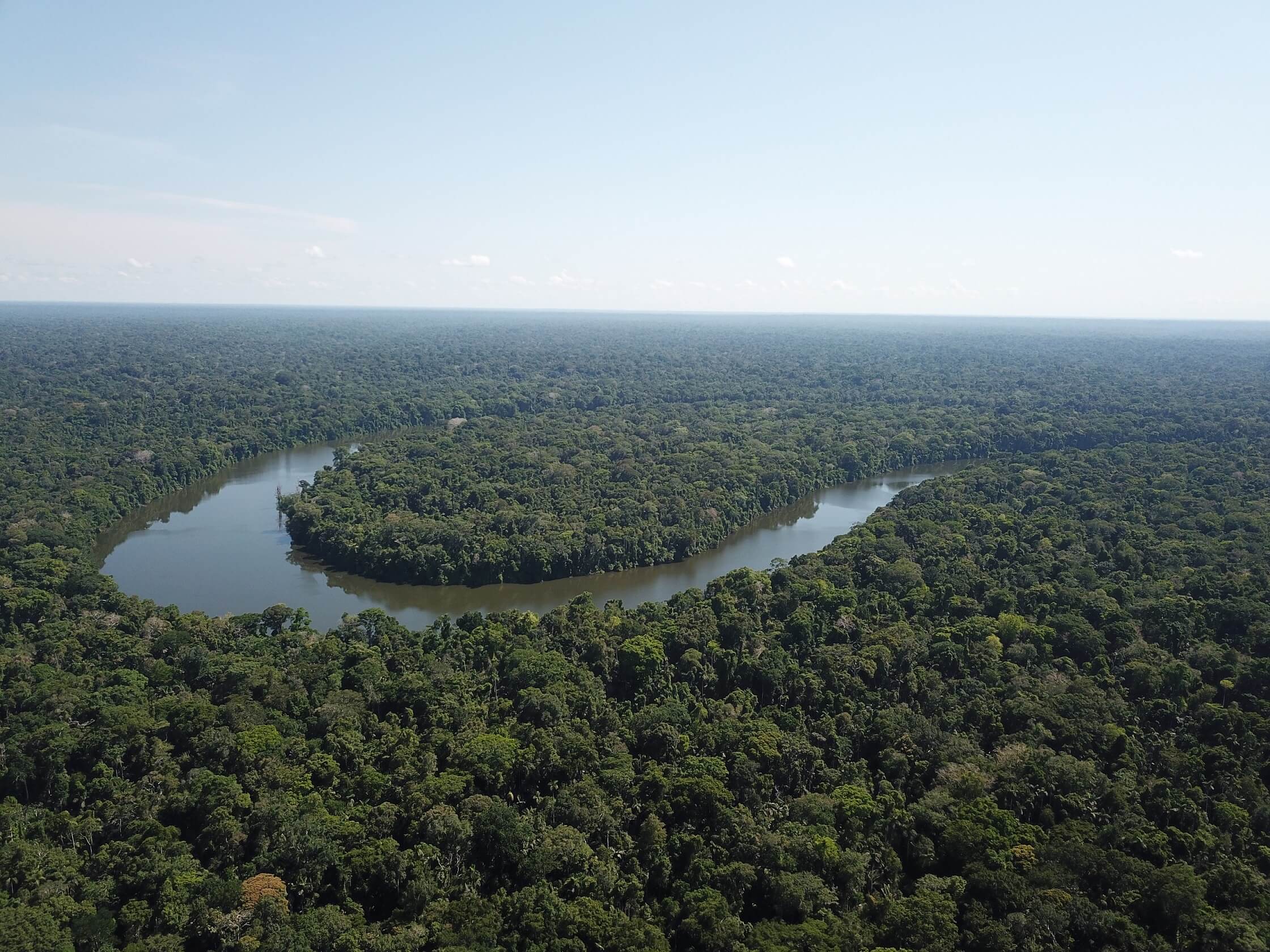 Perú y la conservación de su biodiversidad