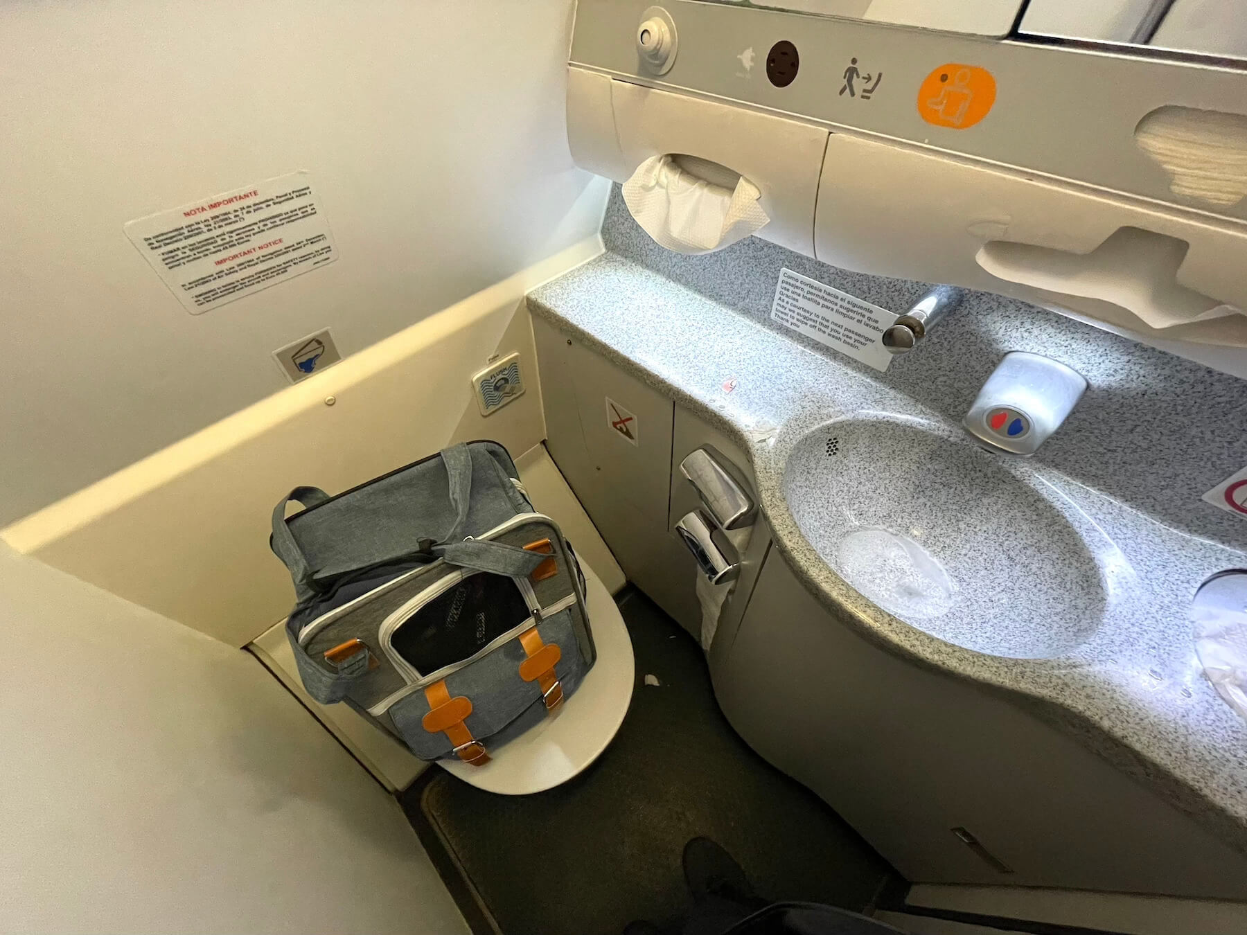 Políticas para viajar con mascotas en avión Plus Ultra