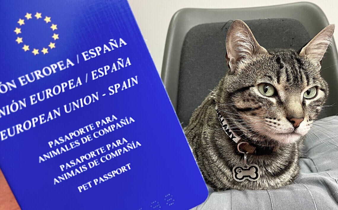 Políticas para viajar con mascotas en avión