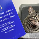Políticas para viajar con mascotas en avión